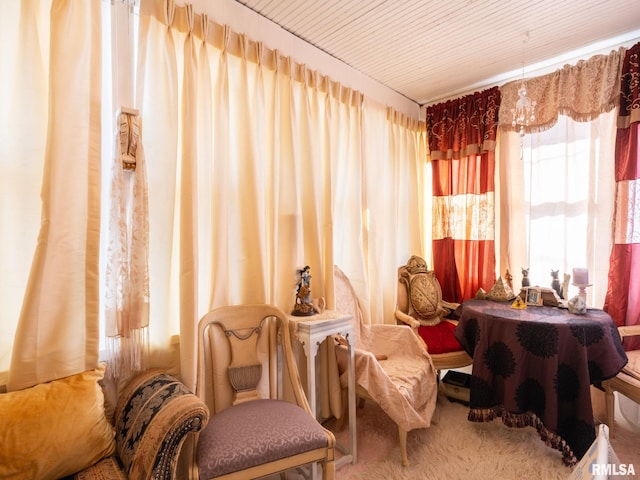 living area with carpet flooring