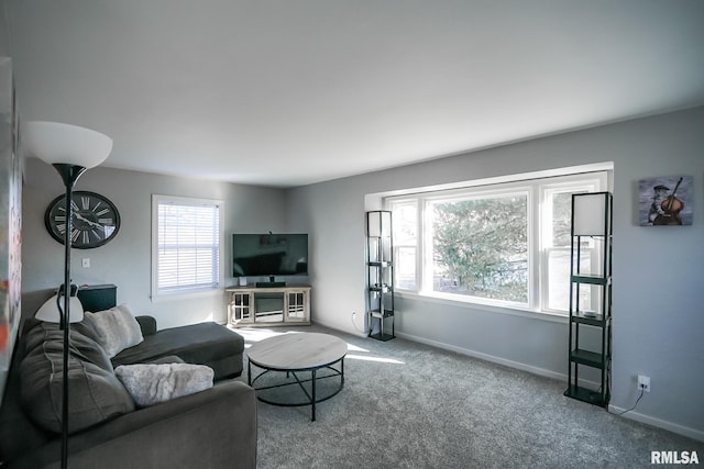 living room featuring carpet flooring