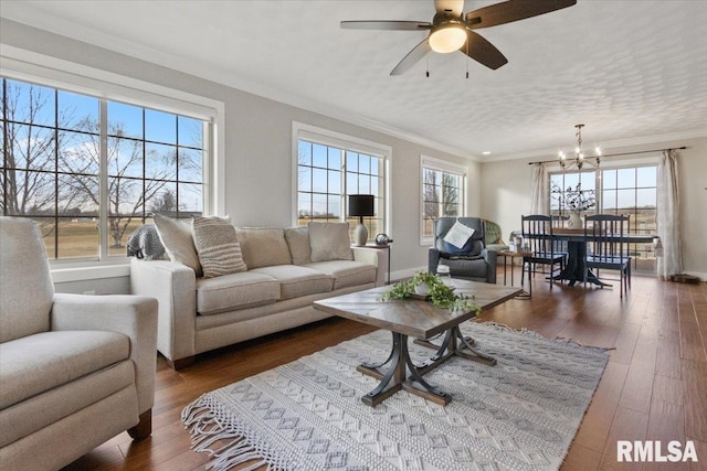 living room featuring ceiling fan with notable chandelier, dark hardwood / wood-style floors, and crown molding