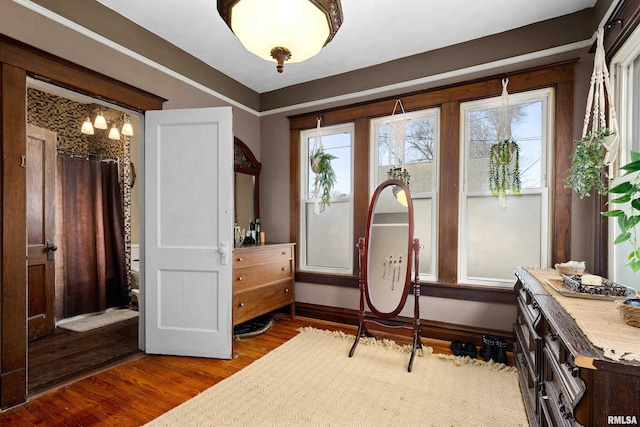 sitting room featuring wood-type flooring