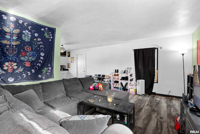 living room featuring hardwood / wood-style flooring