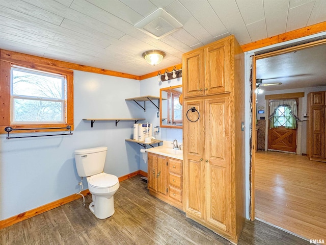 bathroom with vanity, wood-type flooring, and toilet