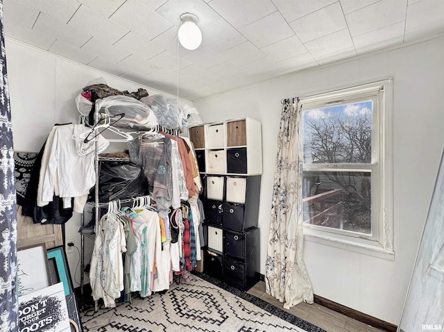 bathroom featuring sink, toilet, and a shower with shower curtain