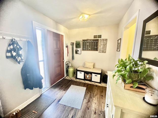 foyer entrance with dark hardwood / wood-style floors