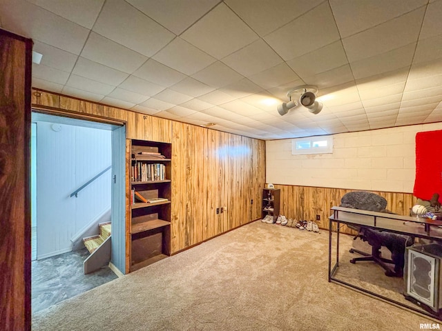 interior space with light colored carpet and wood walls