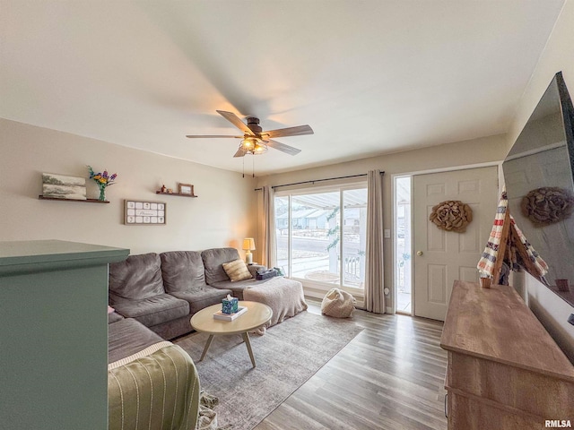 living room featuring ceiling fan and wood-type flooring