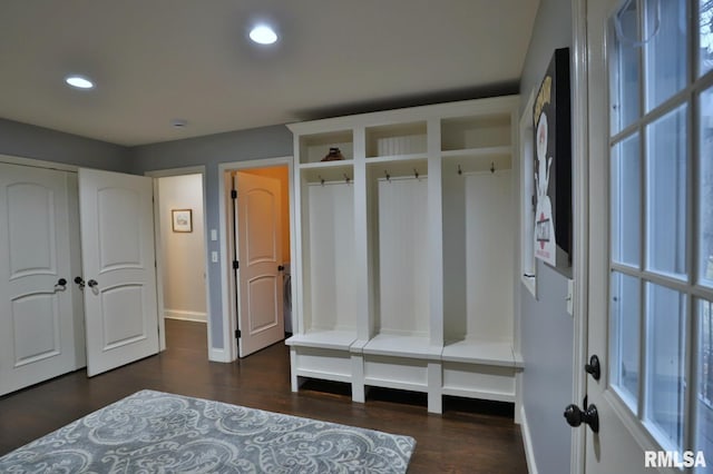 mudroom featuring dark hardwood / wood-style flooring