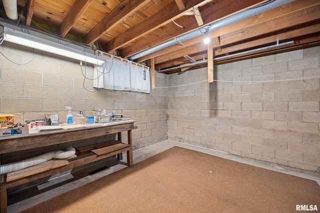 basement featuring carpet floors