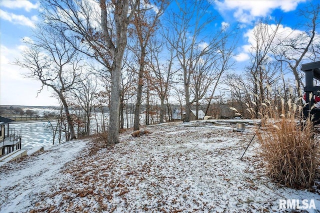 view of snowy yard