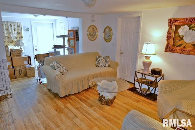 living room with wood-type flooring