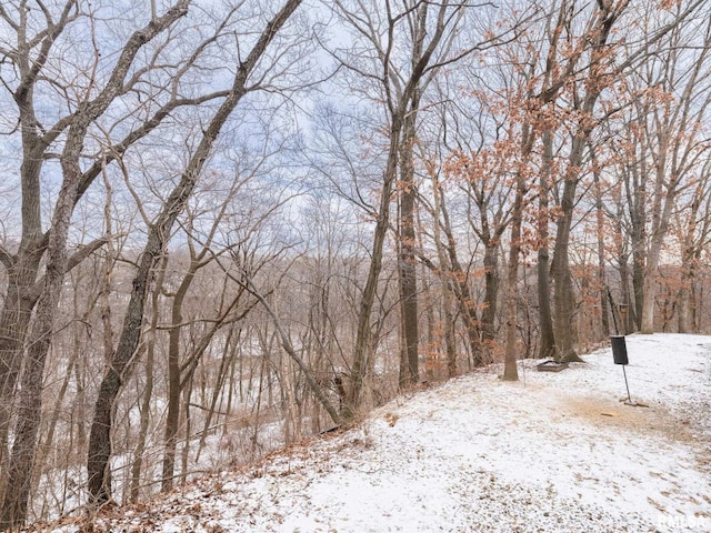 view of snowy landscape