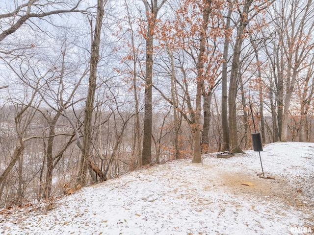 view of snow covered land