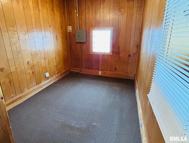 spare room featuring wood walls and dark colored carpet