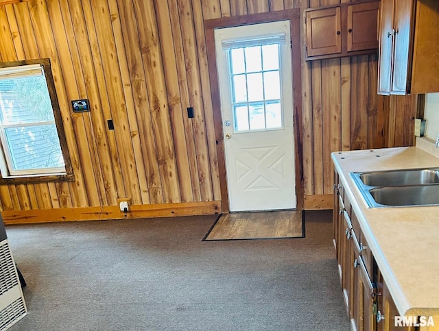 doorway to outside with sink, dark carpet, and wood walls