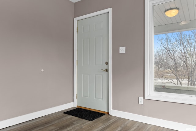 foyer entrance with dark hardwood / wood-style flooring and a wealth of natural light