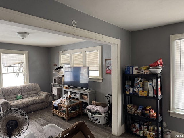 living room featuring hardwood / wood-style floors and a wealth of natural light