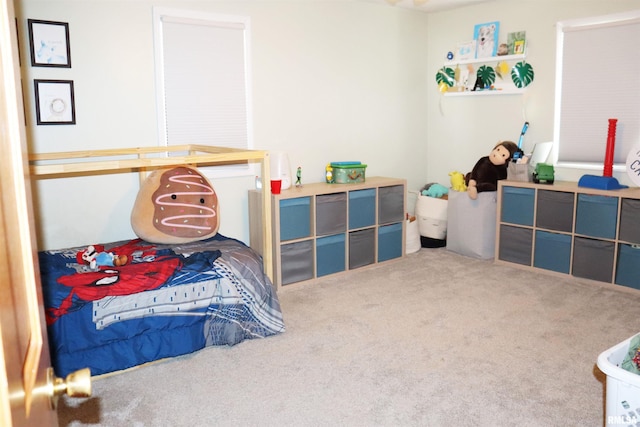 view of carpeted bedroom