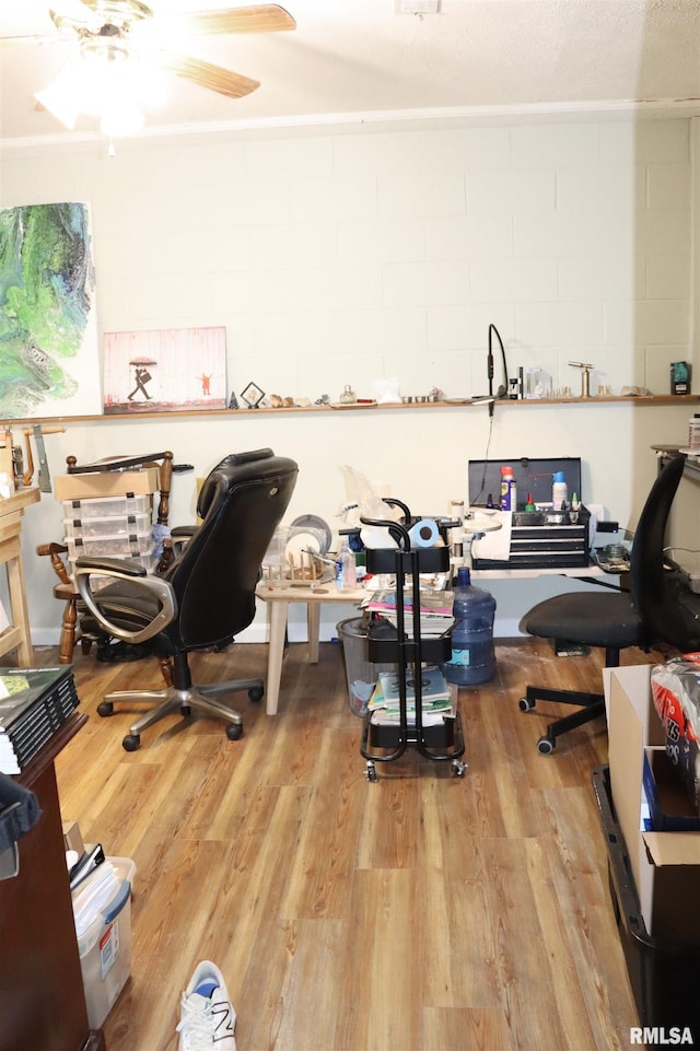 office area with light hardwood / wood-style flooring