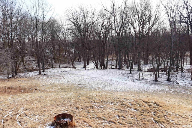 view of snowy yard