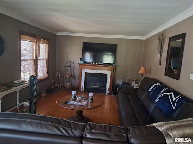 living room with hardwood / wood-style floors and ornamental molding