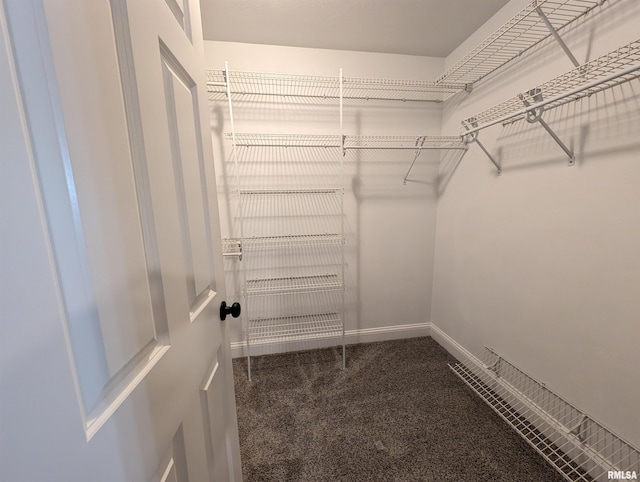 spacious closet featuring carpet