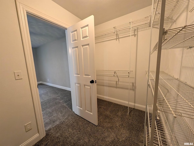 spacious closet featuring dark colored carpet