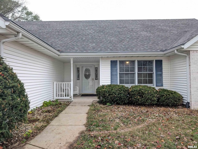 doorway to property featuring a shingled roof and brick siding