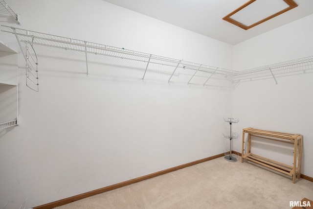 walk in closet with carpet