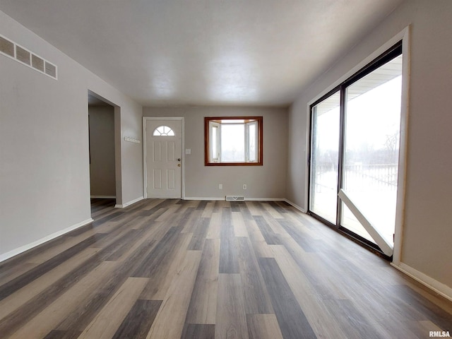 entrance foyer featuring dark hardwood / wood-style flooring