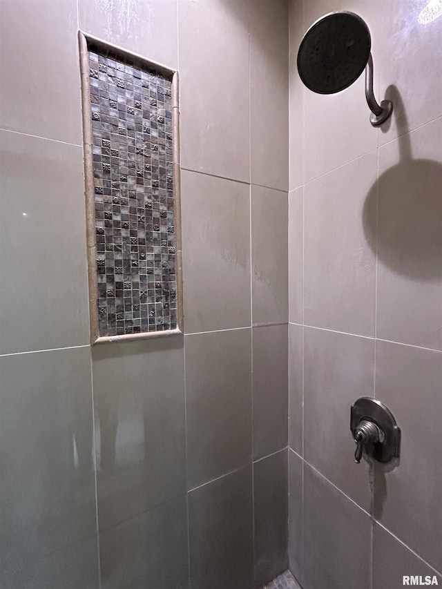 interior details with tiled shower