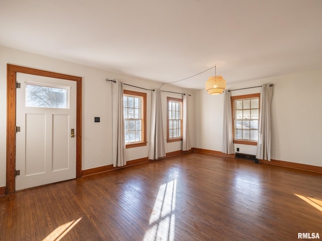 entryway featuring dark wood-type flooring and a wealth of natural light