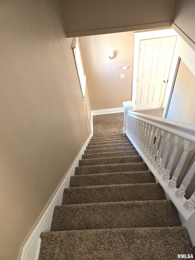 staircase featuring carpet flooring