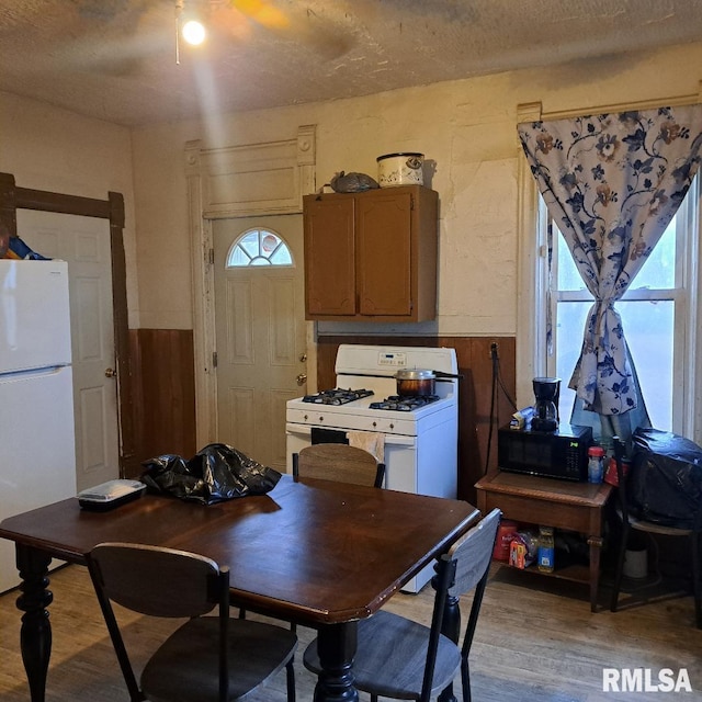 dining area with light hardwood / wood-style flooring