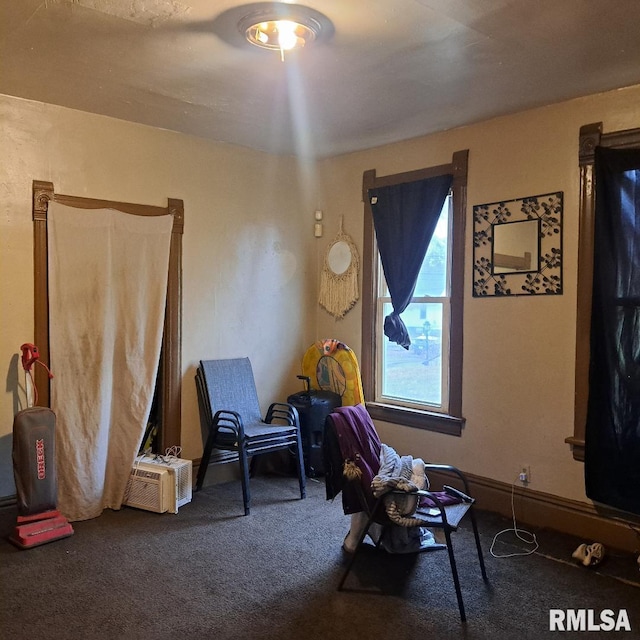 sitting room featuring carpet