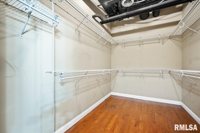 walk in closet featuring hardwood / wood-style flooring