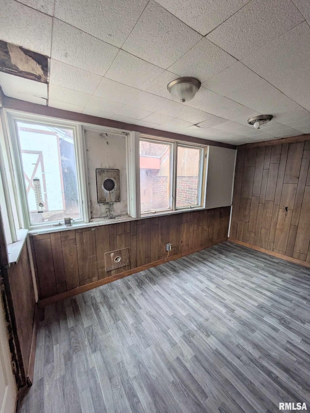 empty room with plenty of natural light, wooden walls, and light hardwood / wood-style floors