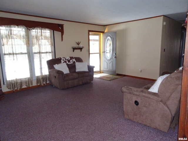 living room featuring crown molding and carpet floors