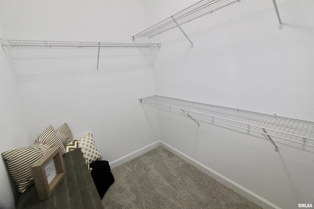 spacious closet with carpet