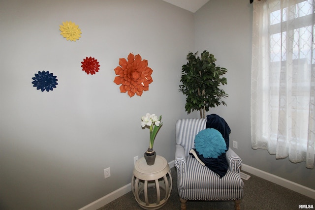 sitting room with carpet