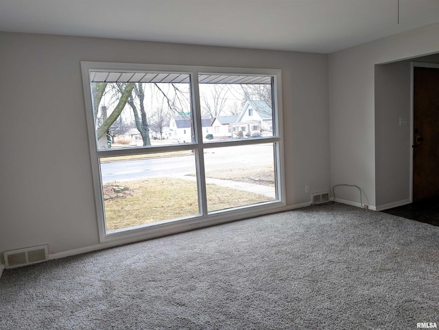 carpeted spare room with plenty of natural light