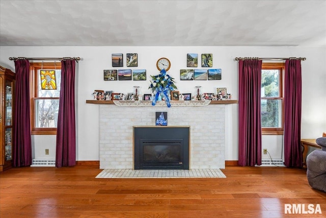 living room featuring wood-type flooring and a fireplace