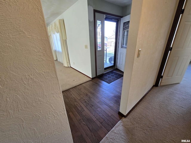 foyer entrance with wood-type flooring