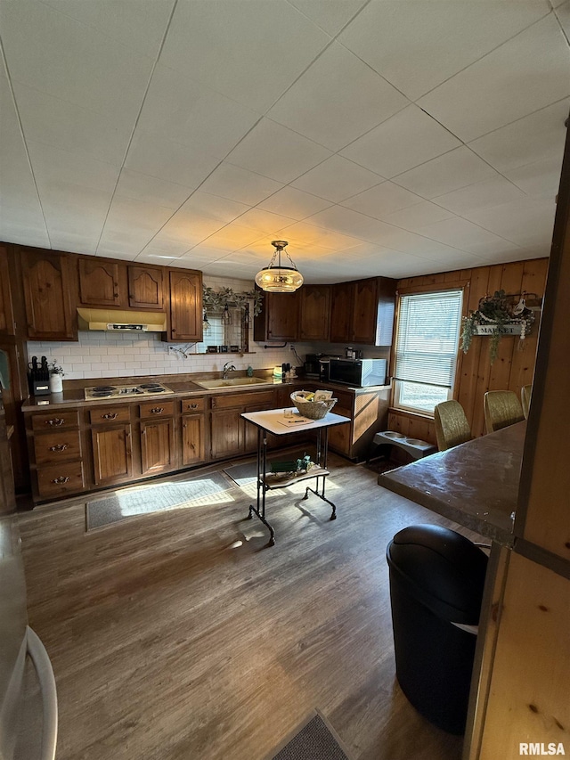 kitchen featuring sink, gas cooktop, hanging light fixtures, dark hardwood / wood-style floors, and decorative backsplash