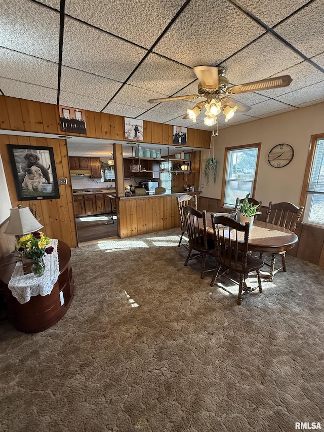 carpeted dining space featuring ceiling fan, a paneled ceiling, and wooden walls