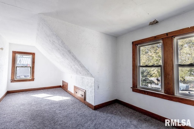 additional living space with plenty of natural light, carpet floors, and lofted ceiling