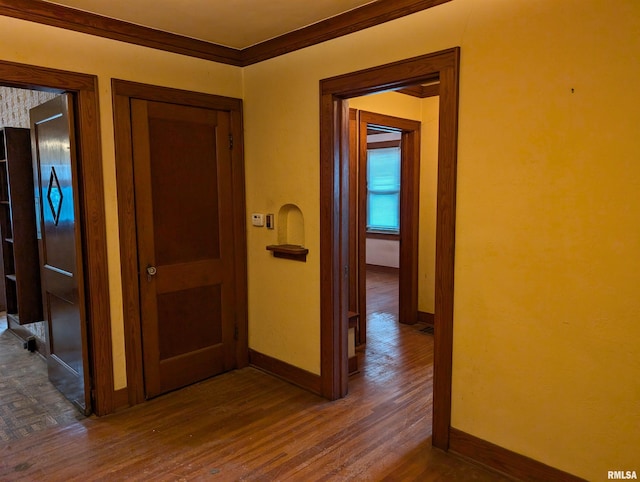 corridor featuring ornamental molding and dark hardwood / wood-style flooring