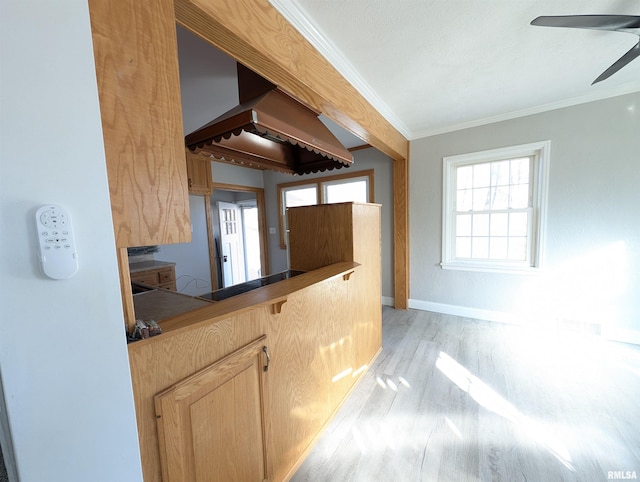 kitchen featuring ornamental molding, a healthy amount of sunlight, light brown cabinetry, and light hardwood / wood-style flooring