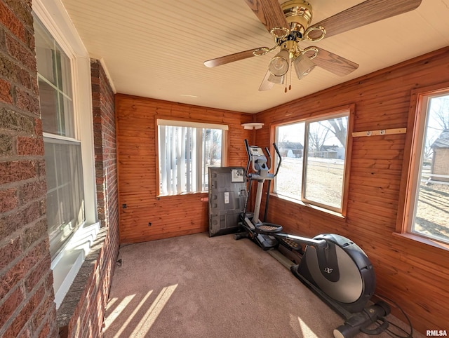 exercise area featuring plenty of natural light, wooden walls, brick wall, and carpet