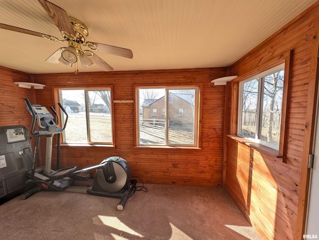 exercise room featuring wood ceiling, a wealth of natural light, light colored carpet, and wood walls