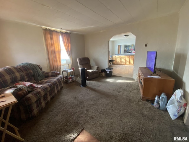 living room with carpet floors